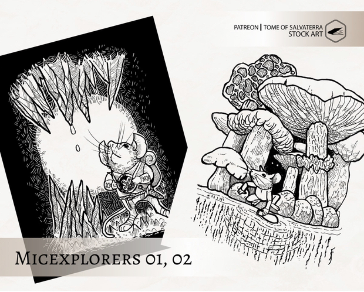MICEXPLORERS 01, 02