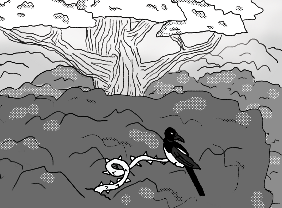 Rolling Coast #9: Confronting the Coven